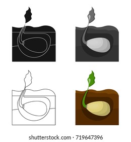 Root, single icon in cartoon style .Root vector symbol stock illustration web.