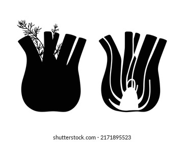 Root and stem of fennel herb, whole and in section. Herb bulb. Monochrome fennel silhouette. Vegetarian food. Medical plant. Cooking ingredient for culinary menu. Hand drawn sketch vector