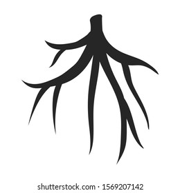 Root of sugarcane vector icon.Black vector icon isolated on white background root of sugarcane .