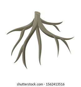 Root of sugarcane vector icon.Cartoon vector icon isolated on white background root of sugarcane .