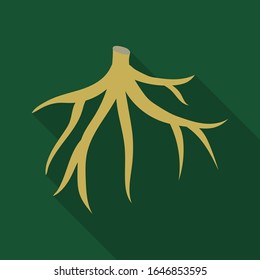 Root of sugarcane vector icon.Flat vector icon isolated on white background root of sugarcane .
