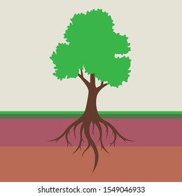 root system of a tree with leaves. dividing the soil into a layer. flat vector illustration.