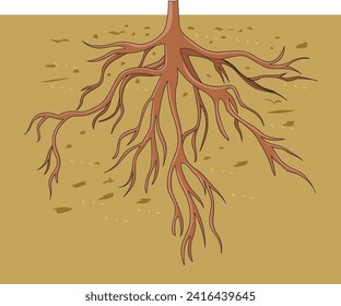 Root system under ground illustration
