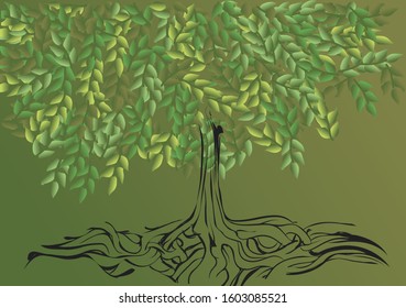 root systemof tree. abstract nature background with tree