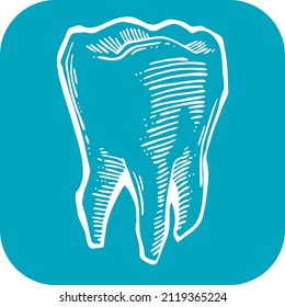 Root tooth. Beautiful healthy tooth is symbol for health dental care. Logo for dentist doctor, orthodontist, dental clinic. Hand drawn old style vector line illustration.