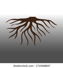 root of the tree. against a gray-white background