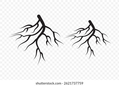 Root of the tree. Black silhouette. Vector illustration. EPS 10.