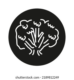 Root  tree color line icon. Pictogram for web page, mobile app, promo.