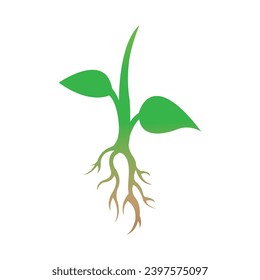 root of the tree icon logo vector design template