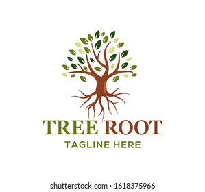 Root Of Tree Life Logo Design Vector Inspiration