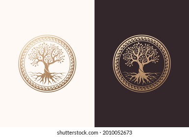 Root Or Tree, Tree Of Life Vector Symbol With A Circle Shape.