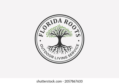 Root Or Tree Of Living Service Logo Design.