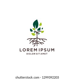 Root Of The Tree Logo Design. Green Leaf Logo. Farm Logo Vector Illustration