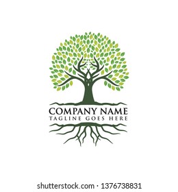 Root Of The Tree Logo Design Inspiration