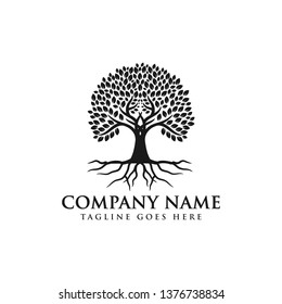 Root Of The Tree Logo Design Inspiration