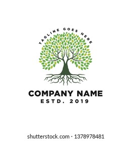 Root Of The Tree Logo Design Inspiration