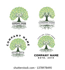 Root Of The Tree Logo Design Inspiration