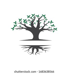 Root Of The Tree Logo Design Inspiration