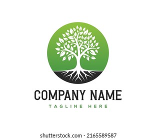 Root Tree Logo Design Inspiration Tree Stock Vector (Royalty Free ...