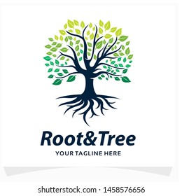 Root and Tree Logo Design Template