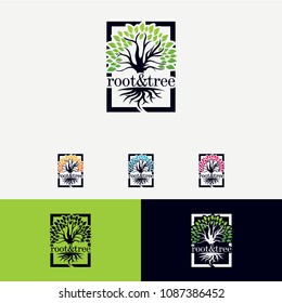 Root and Tree Logo Designs Template