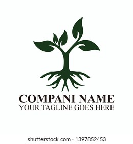 Root Of The Tree logo illustration.