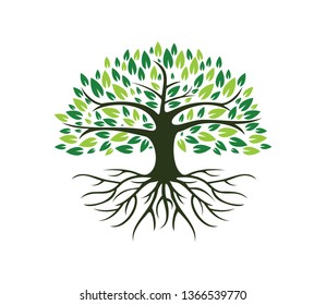Root Of The Tree logo illustration. Tree of life logo design inspiration isolated on white background - Vector