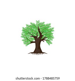 Root Of The Tree logo illustration template