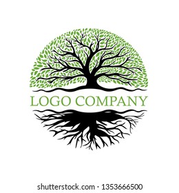 Root Of The Tree logo illustration vector