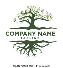 Root Of The Tree logo illustration vector. Abstract vibrant tree logo design, root vector