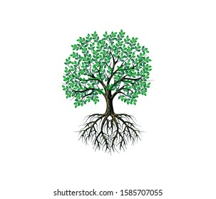 Root Of The Tree logo illustration. Vector silhouette of a tree. roots, mangrove tree VECTOR isolated