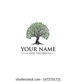 Root Of The Tree logo illustration. Vector silhouette of a tree templates of tree logo and roots, tree of life design illustration