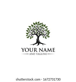 Root Of The Tree logo illustration. Vector silhouette of a tree templates of tree logo and roots, tree of life design illustration