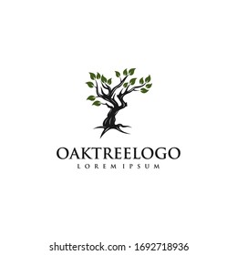 Root Of The Tree logo illustration. Vector silhouette of a tree