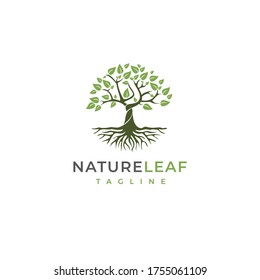 Root Of The Tree logo illustration. Vector silhouette of a tree.