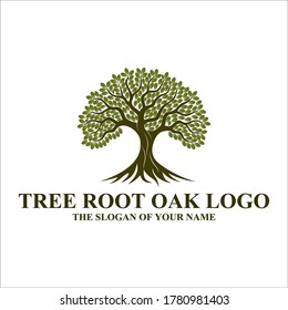 Root Of The Tree logo illustration. Vector silhouette of a tree, Abstract vibrant tree logo design, root vector - Tree of life logo design inspiration isolated on white background.