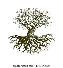 Root Of The Tree logo illustration. Vector silhouette of a tree, Progettazione del paesaggio creativo concetto vettoriale. Targa organica con albero con radici all'interno del cerchio su sfondo.