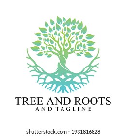 Root Of The Tree logo illustration. Vector silhouette of a tree,Abstract vibrant tree logo design, root vector - Tree of life logo design inspiration isolated on white background.