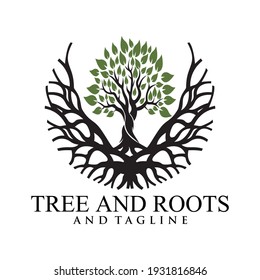 Root Of The Tree logo illustration. Vector silhouette of a tree,Abstract vibrant tree logo design, root vector - Tree of life logo design inspiration isolated on white background.