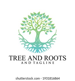 Root Of The Tree logo illustration. Vector silhouette of a tree,Abstract vibrant tree logo design, root vector - Tree of life logo design inspiration isolated on white background.