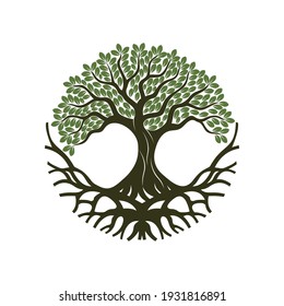 Root Of The Tree logo illustration. Vector silhouette of a tree,Abstract vibrant tree logo design, root vector - Tree of life logo design inspiration isolated on white background.