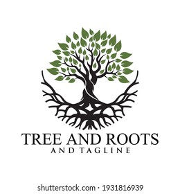 Root Of The Tree logo illustration. Vector silhouette of a tree,Abstract vibrant tree logo design, root vector - Tree of life logo design inspiration isolated on white background.