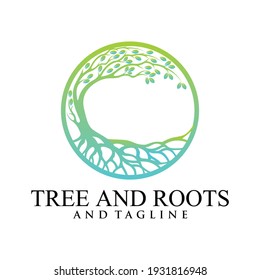 Root Of The Tree logo illustration. Vector silhouette of a tree,Abstract vibrant tree logo design, root vector - Tree of life logo design inspiration isolated on white background.