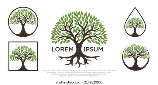 Root Of The Tree logo illustration. Vector silhouette of a tree.