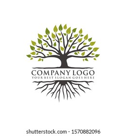 Root tree logo inspiration. Abstract, balance and life design template. Vector illustration 