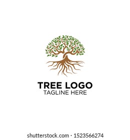 root of the tree logo. natural tree logo template