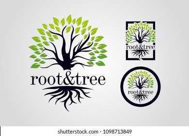 Root and Tree Logo Template