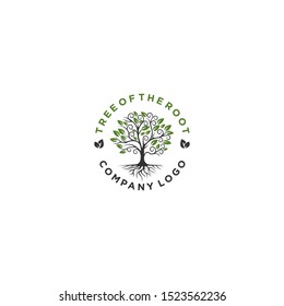 root of the tree logo template. natural tree logo