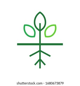 Root tree logo template vector icon design