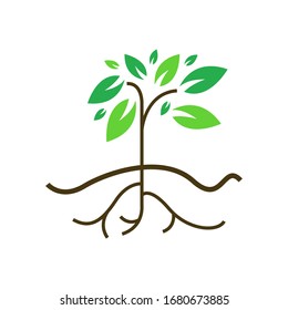 Root Tree Logo Template Vector Icon Design